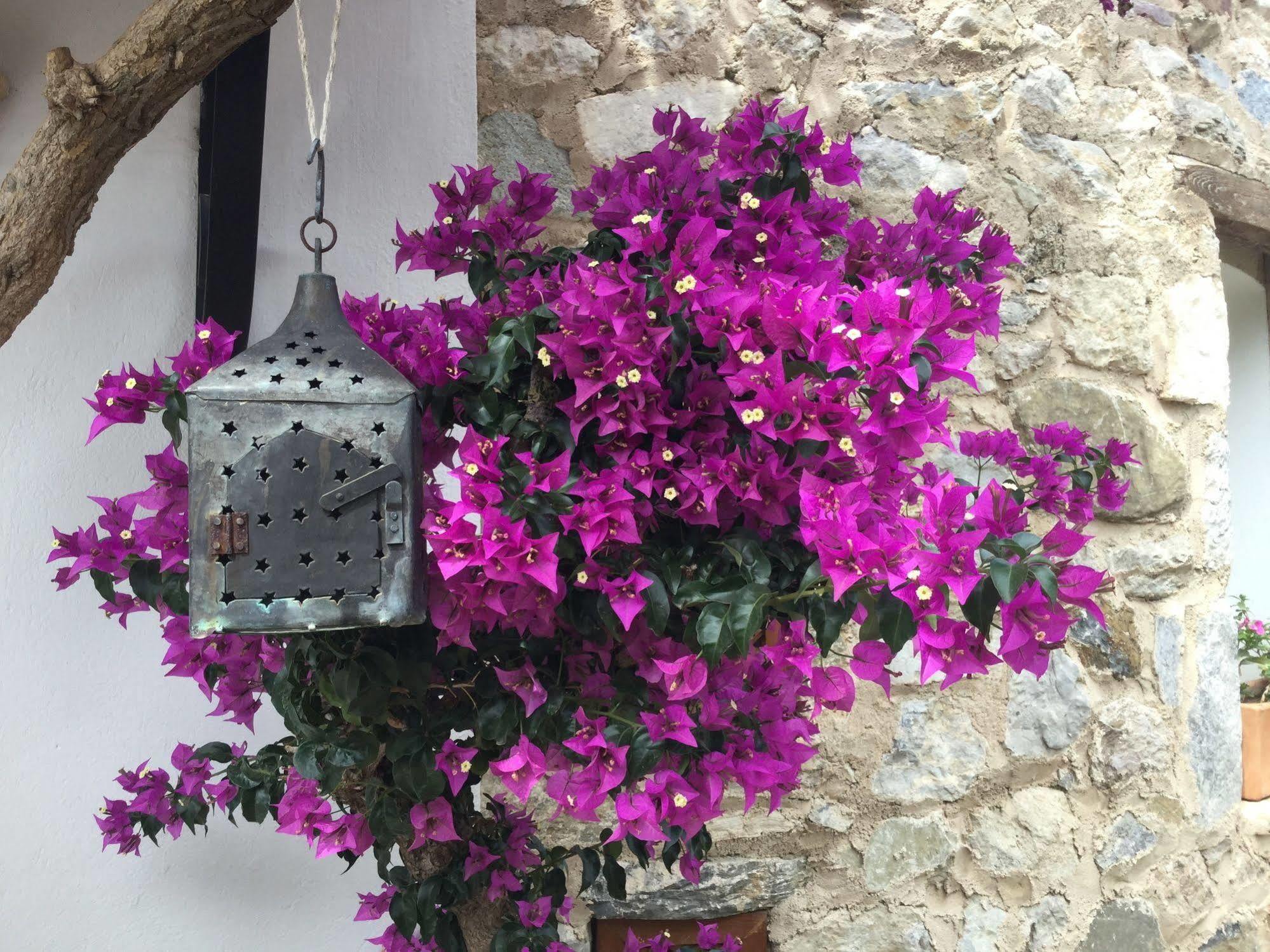 Hotel Villa Tokur Datça Exteriör bild
